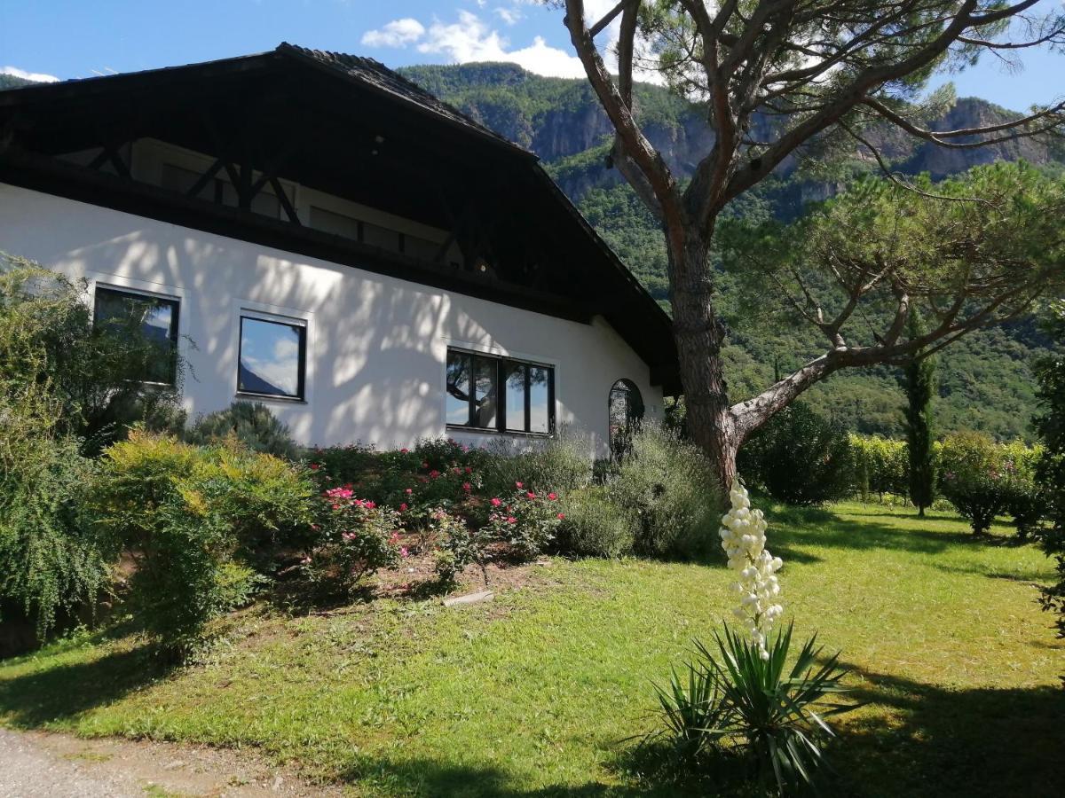 Villa Pinie Apt 1 特尔拉诺 外观 照片