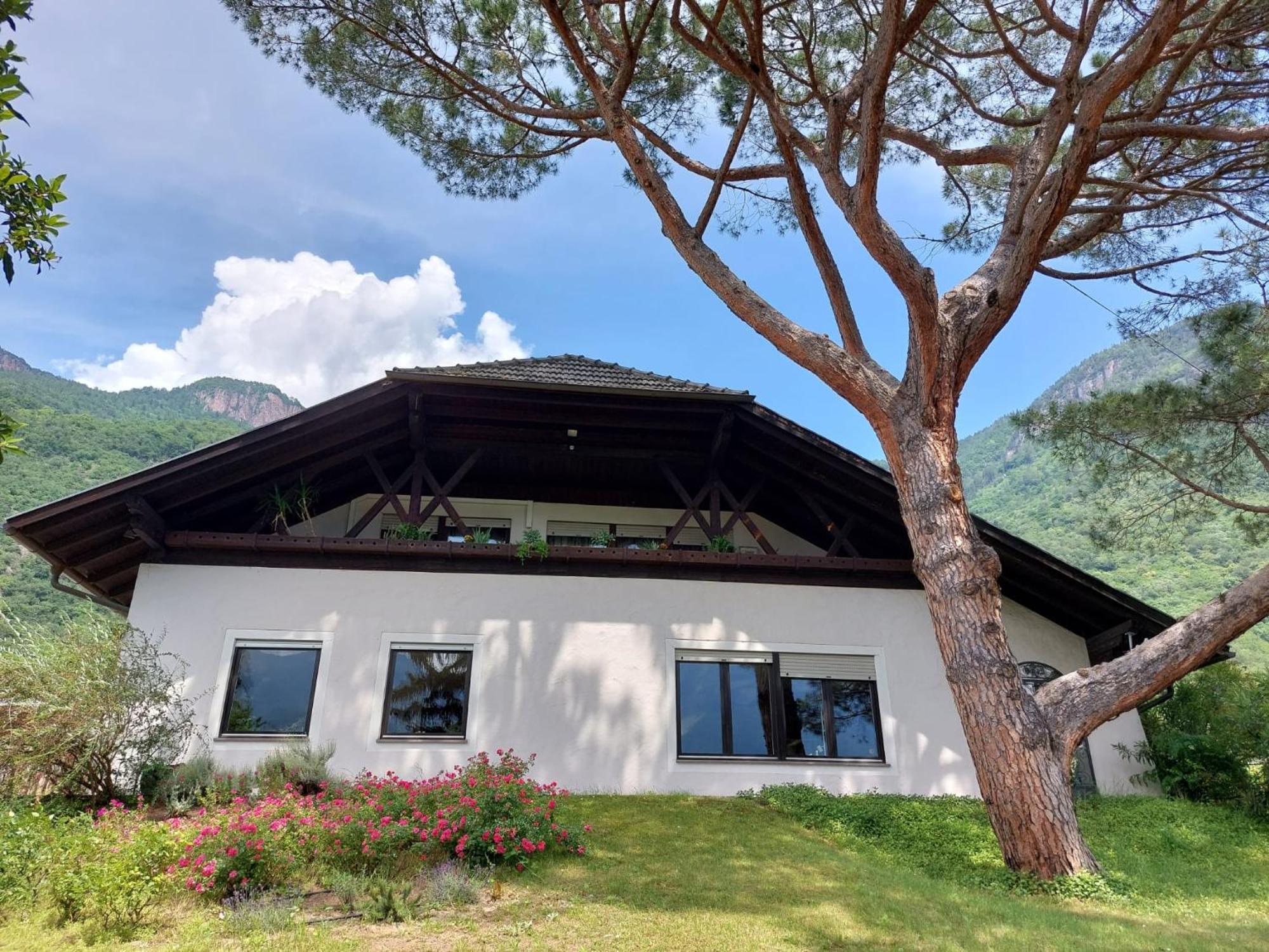Villa Pinie Apt 1 特尔拉诺 外观 照片